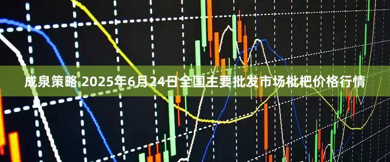 成泉策略 2025年6月24日全国主要批发市场枇杷价格行情