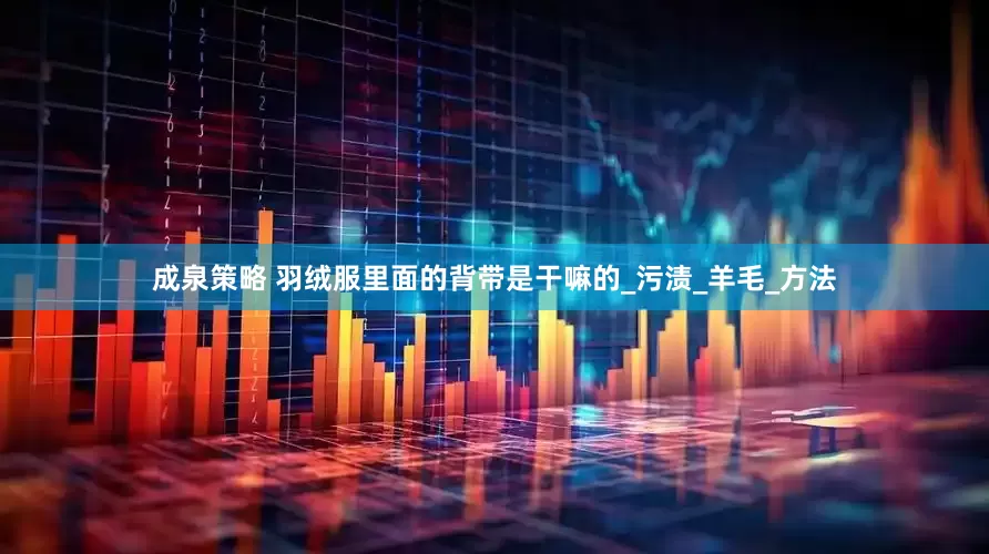 成泉策略 羽绒服里面的背带是干嘛的_污渍_羊毛_方法
